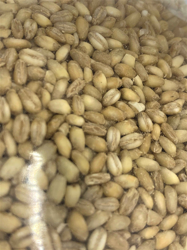 Wheat Groats (Dzavar) - Great Masis - 2lbs
